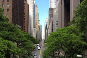 How to Choose the Right Hammer for Your Job